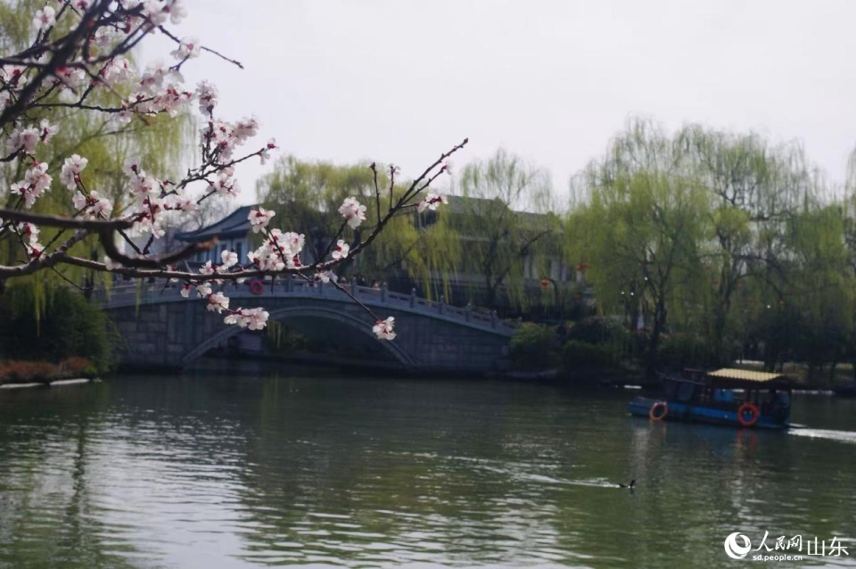 春染明湖 繁花入画_fororder_003