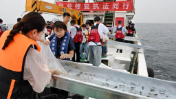 山东青岛：增殖放流 修复生态