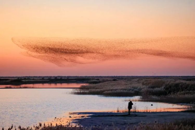 东营“新春第一会”：以实干破局产业转型