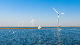 别只盯着10万亿的数字，看看山东这本“碳字经”