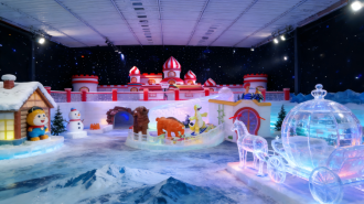 元旦假期东营冰雪文化旅游走红海外社交媒体_fororder_微信图片_20260102103230