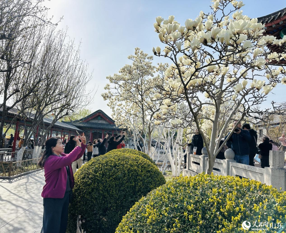 春染明湖 繁花入画_fororder_008