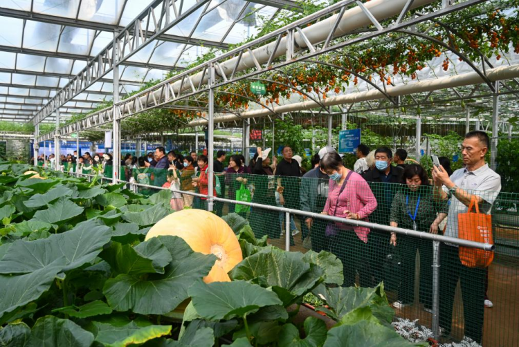 外国友人第一次体验济南烧烤，然后被圈粉了。帮想几句新媒体标题，要有趣的_fororder_【寿光】3