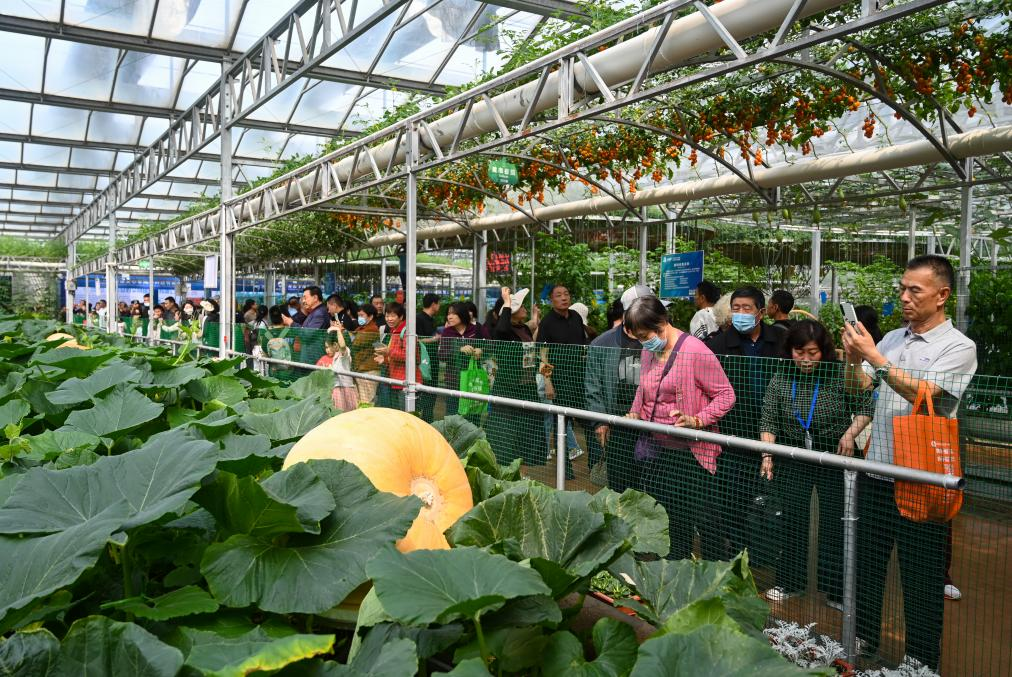 外国友人第一次体验济南烧烤，然后被圈粉了。帮想几句新媒体标题，要有趣的_fororder_【寿光】3