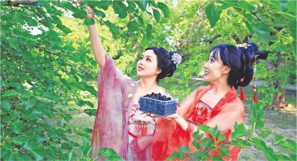 滨州：乡村生态美旅游热力足