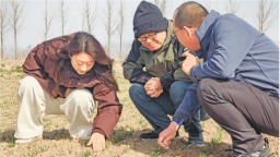 山东东营：“农技壮苗”在行动