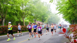 2万名跑者逐梦山海 双星名人・2026青岛西海岸半程马拉松开跑