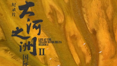 纪录片《大河之洲》第二季9月27日全球首映