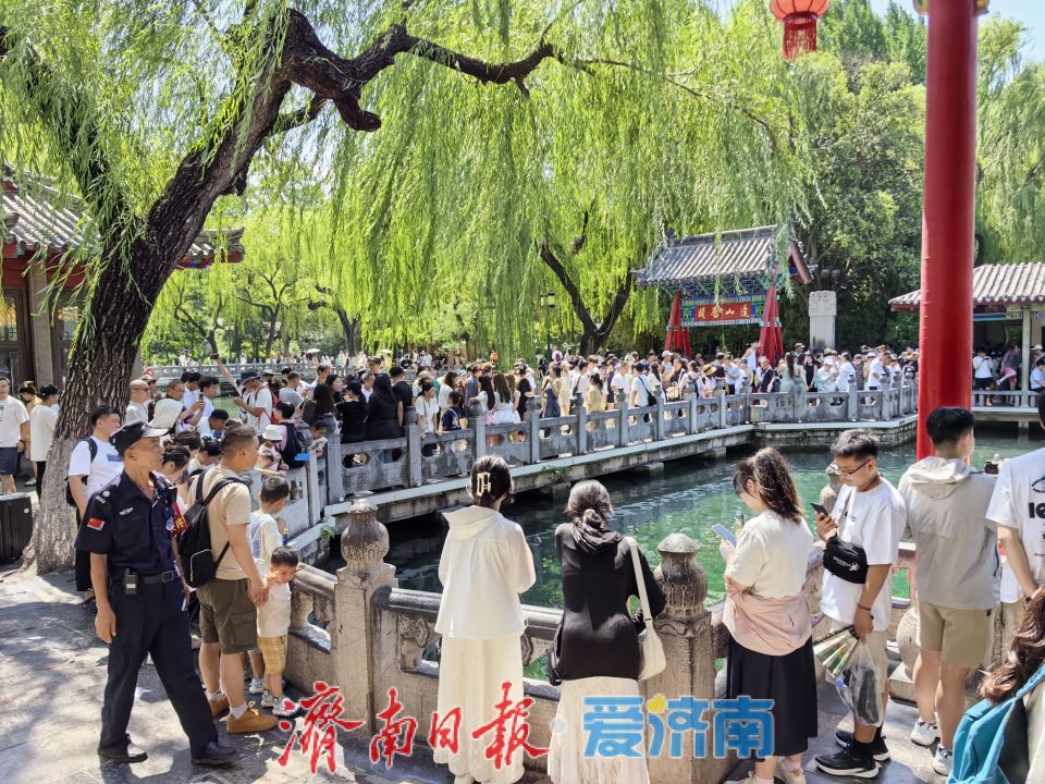 趵突泉暑期变身“清凉乐园” 亲子戏水享泉城夏日