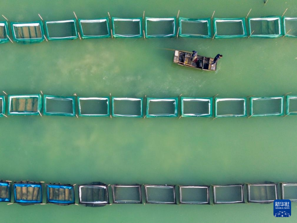 山东东平：冬季捕蟹忙_fororder_【新华社】2