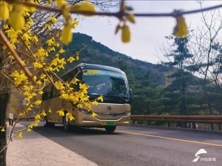 山东泰安：春到彩石溪 花开醉春风