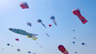 漫天纸鸢竞潍坊——2026潍坊风筝嘉年华掠影