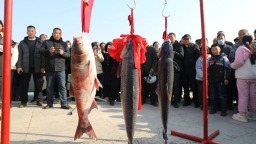 济宁鱼台县王庙镇旧城海子捕鱼季启动