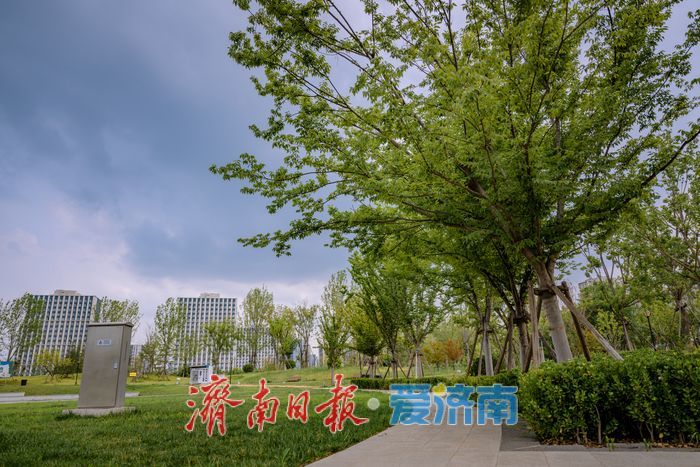 济南：唐冶中央公园变身“都市避暑绿洲”