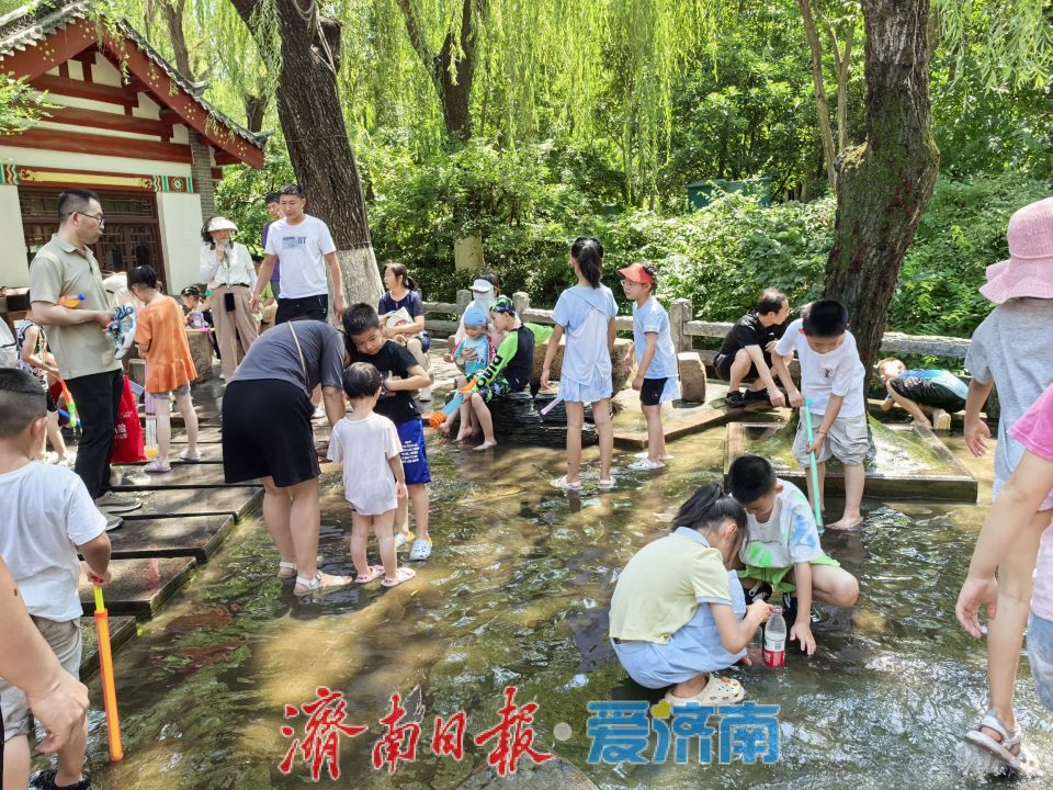趵突泉暑期变身“清凉乐园” 亲子戏水享泉城夏日