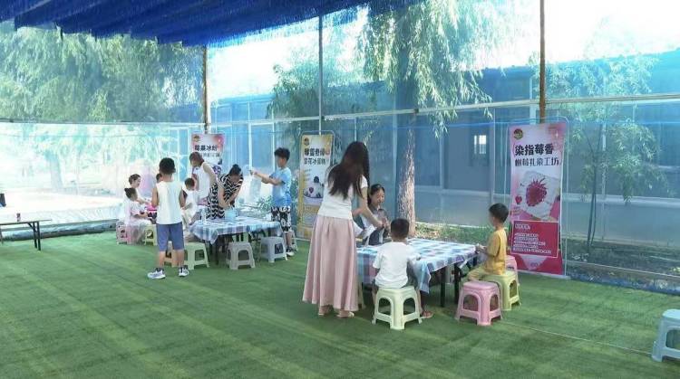 济南“泉果飘香” 打造农文旅融合新引擎