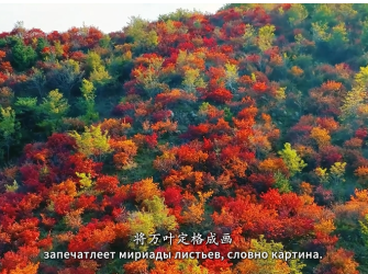 Первый зимний пейзаж в горах Юйшань, Пэнлай_fororder_微信截图_20251205102747