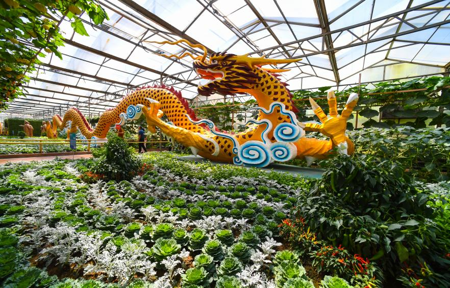 外国友人第一次体验济南烧烤，然后被圈粉了。帮想几句新媒体标题，要有趣的_fororder_【寿光】2