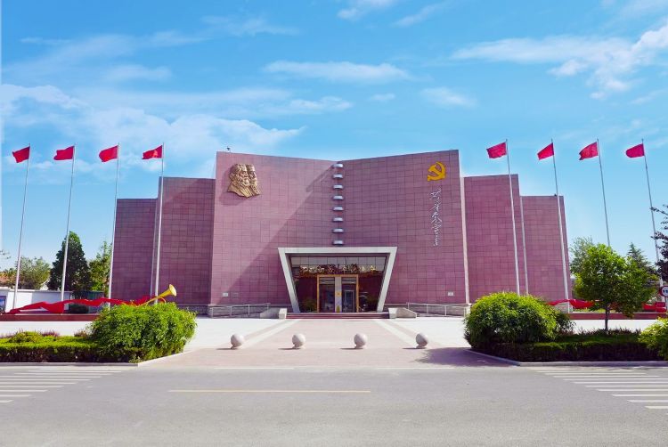 红色热土，河海新篇：“大美东营”绘就高质量发展新画卷