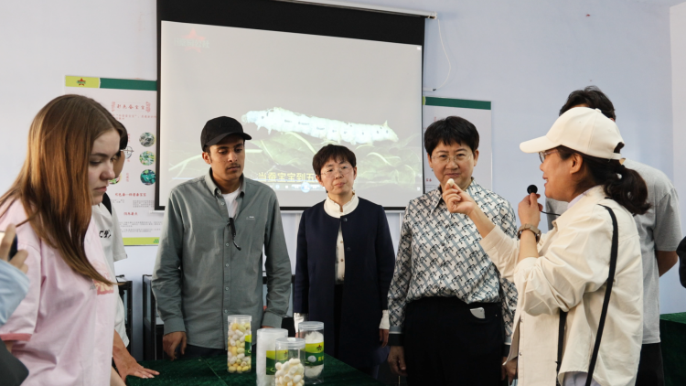 机遇中国·活力莱芜 | 国际学生走进桑园公社：从“一株桑”体验千年非遗 织就跨国文化长卷_fororder_4813628f26f54ef1be2ba9eee09d2b7e_20260420142905