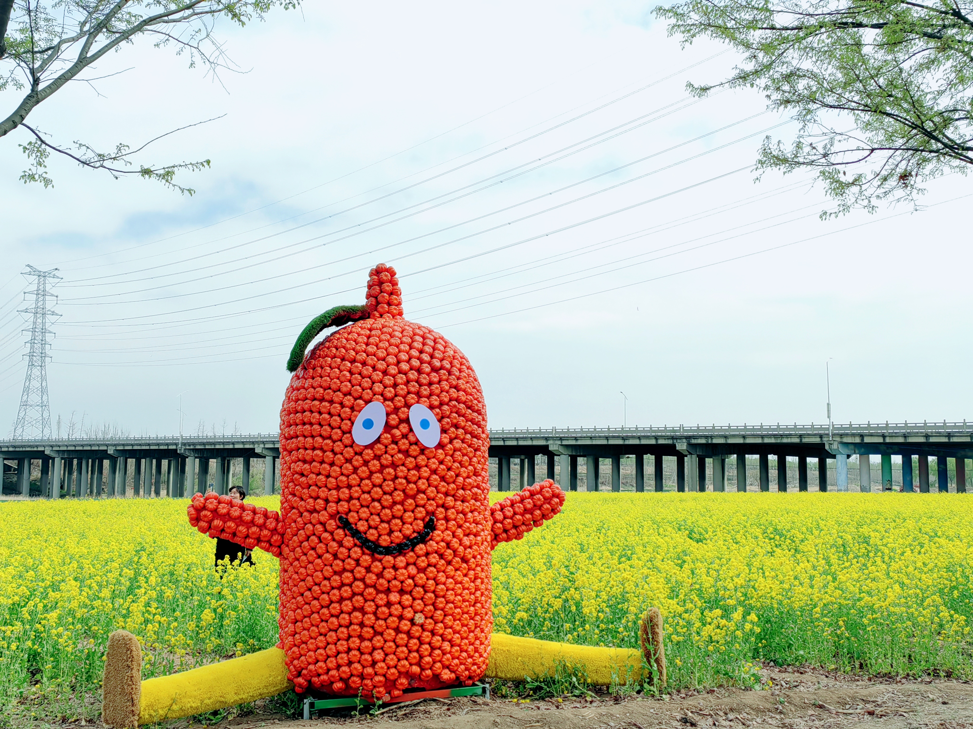 【花开齐鲁】济宁市兖州区千亩油菜花迎来盛放时节_fororder_afd3d2d9066f8f811f6fefc4697457c