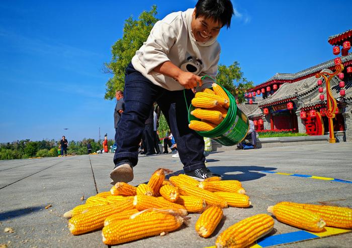 滨州：农民趣味运动会庆丰收