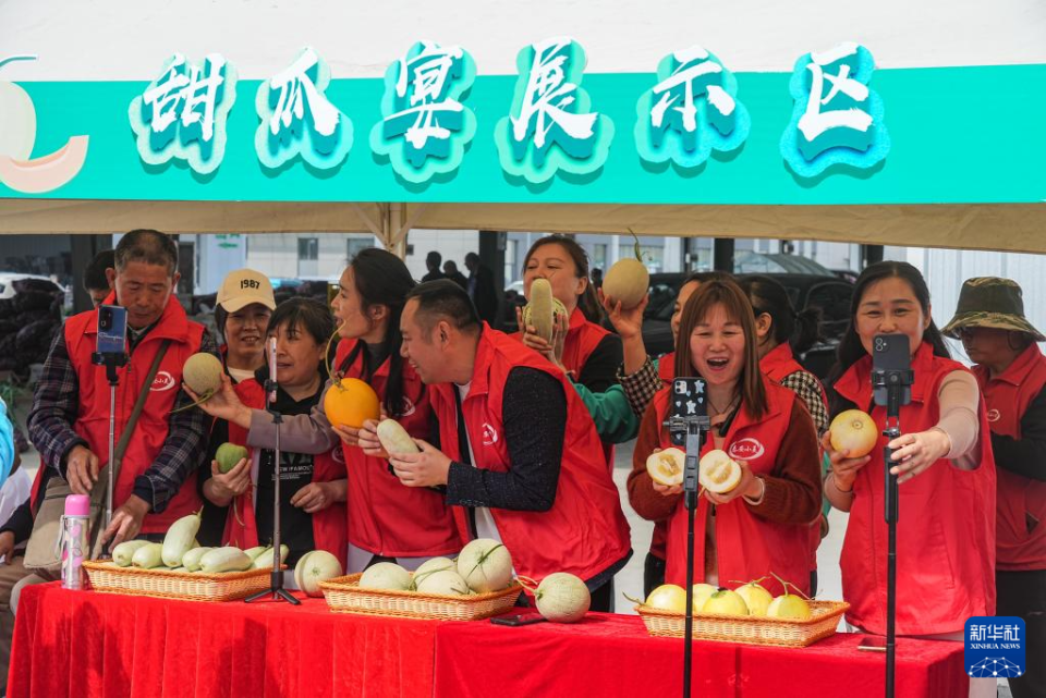 山东东平：甜瓜飘香助增收_fororder_22222
