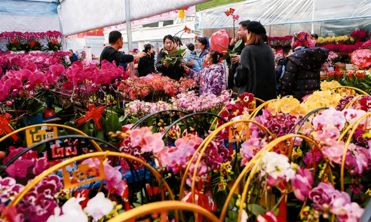 山东青州：“花样经济”激活春节消费新活力