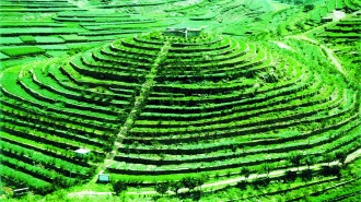 枣庄山亭水泉镇：七十余载接力治山 绘就生态富民画卷