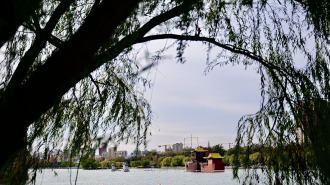 寒潮难挡游兴 大明湖初冬别具风情