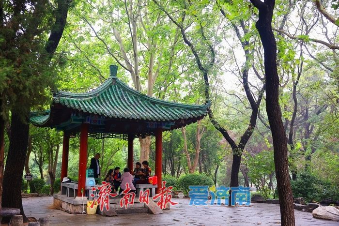 细雨如丝，济南百花公园秋意朦胧