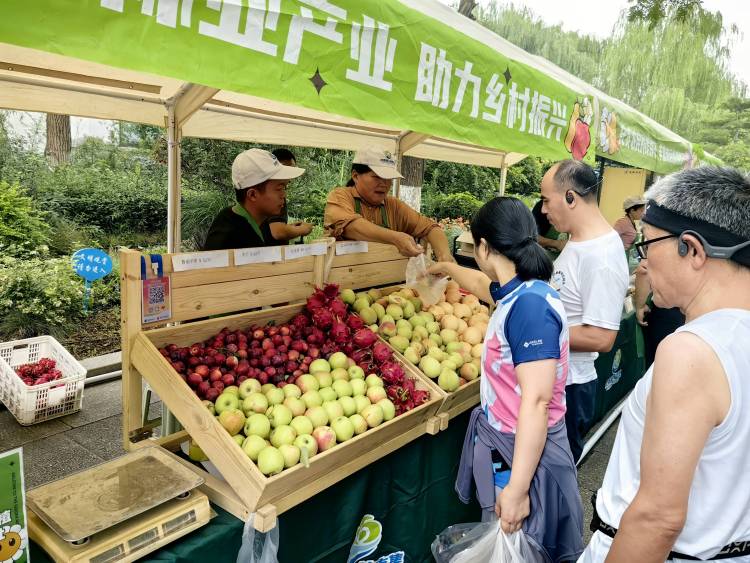 济南“泉果飘香” 打造农文旅融合新引擎
