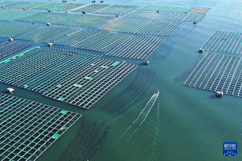 四中全会精神在基层｜山东：耕海牧渔充盈“蓝色粮仓”