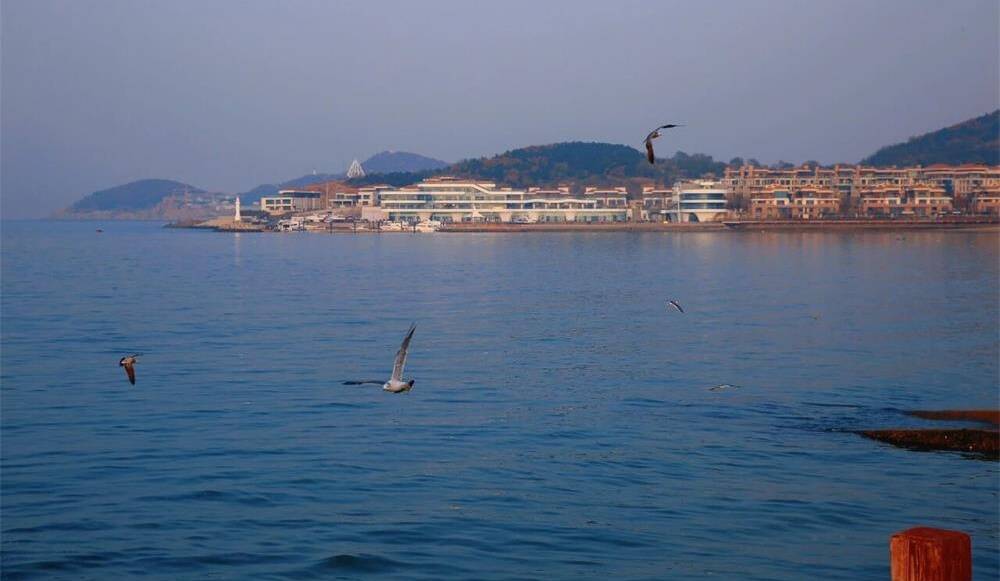 威海市环翠区:冬日“趣”看海 浪漫不打烊