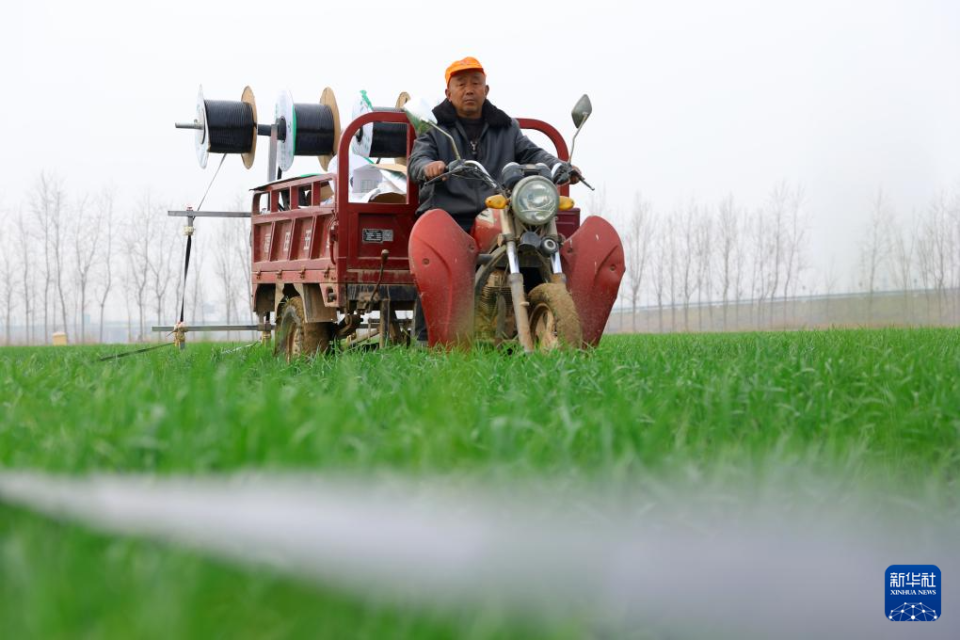 山东：不负春光耕作忙_fororder_【不负春光】7