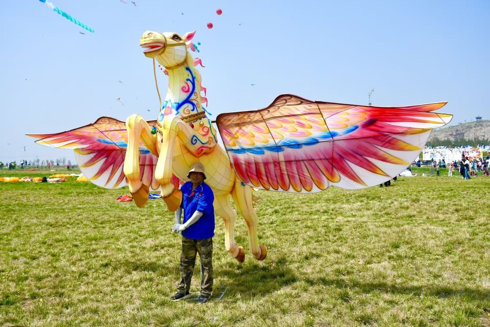 漫天纸鸢竞潍坊——2026潍坊风筝嘉年华掠影_fororder_003