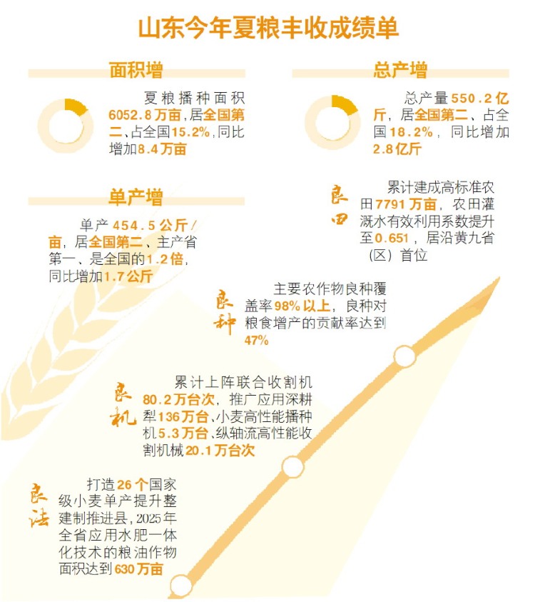 山东：与极端天气赛跑！一个产粮大省的“逆袭”
