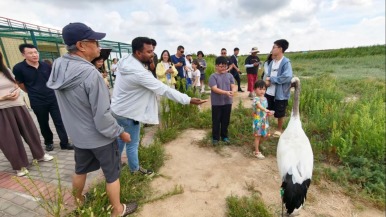 【Hi,Shandong】大河入海 万鸟翔集 东营绘就生态新画卷