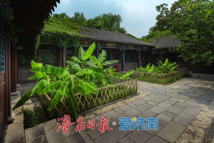 酷暑时节，来济南万竹园解锁夏日清凉