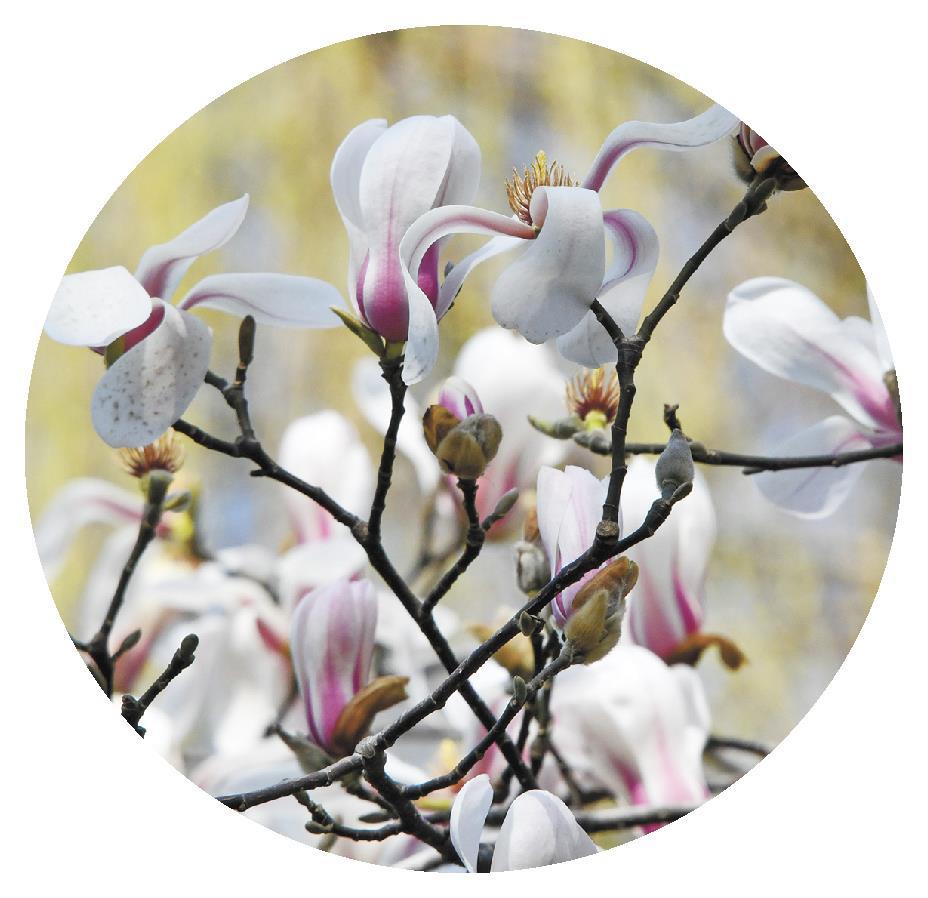 春回大地万物“耕”新