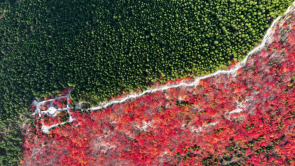 山东济南：“平分秋色”蝎子山