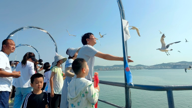 图片默认标题