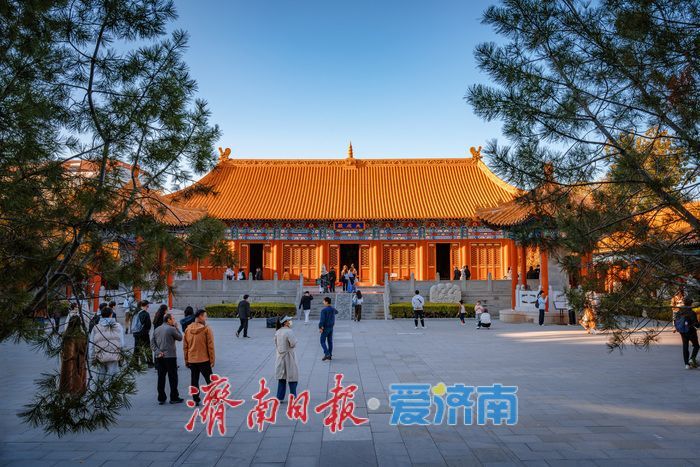 银杏金黄映红墙，济南府学文庙尽显秋韵