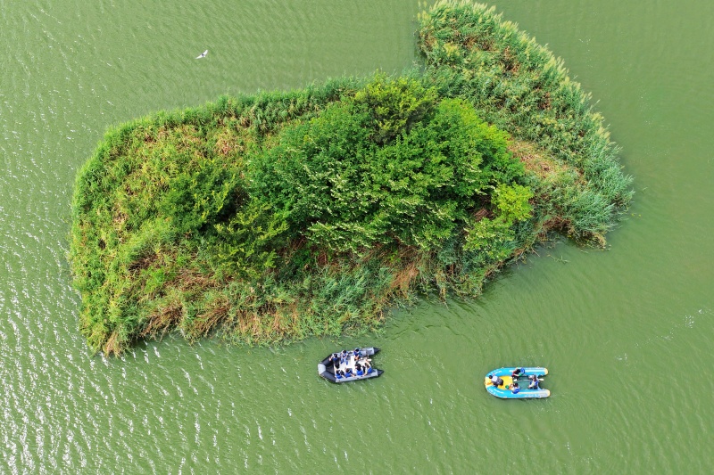 山东青岛:守护湿地家园 传播生态文明