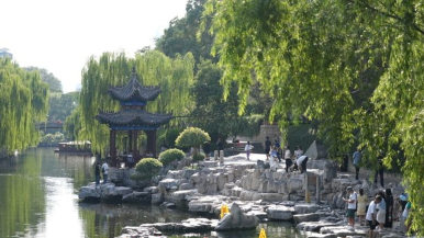 Jinan Welcomes Spring Appreciation Season