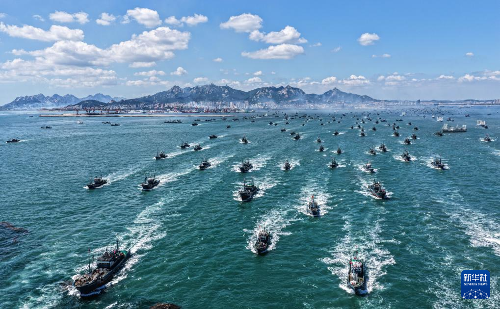 四中全会精神在基层｜山东：耕海牧渔充盈“蓝色粮仓”