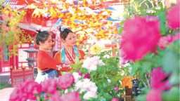 德州：火爆 “奔县游”，小城故事多