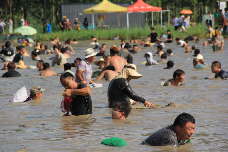 从“乡鲜味”到“慢时光” 济宁鱼台夏日文旅引客来_fororder_Y2