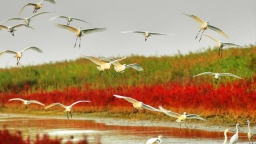 新征程·看东营丨黄河入海处的“十四五”答卷与“十五五”远征