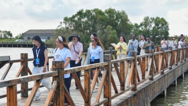 【Hi,Shandong】大河入海 万鸟翔集 东营绘就生态新画卷